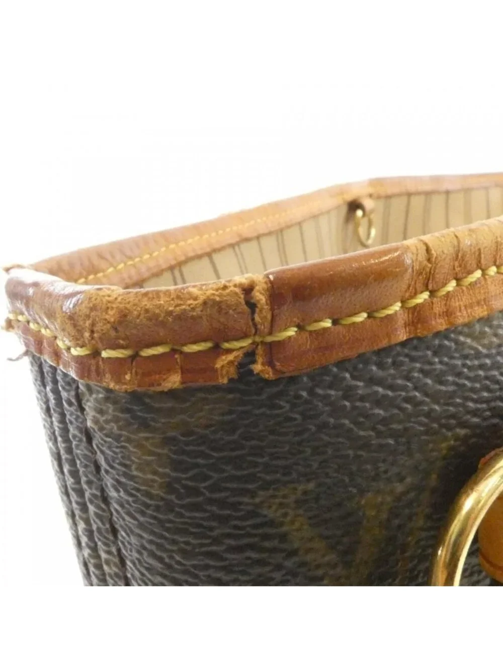 Louis Vuitton Monogram Neverfull PM Bag